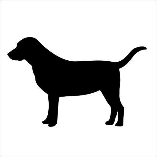 Labrador nažehlovačka