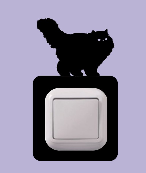 Peršanka, perská kočka