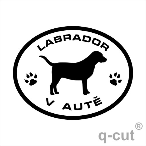 Labrador v autě