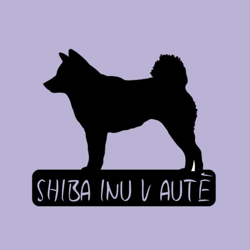 Shiba Inu v autě - možno jméno ZDARMA