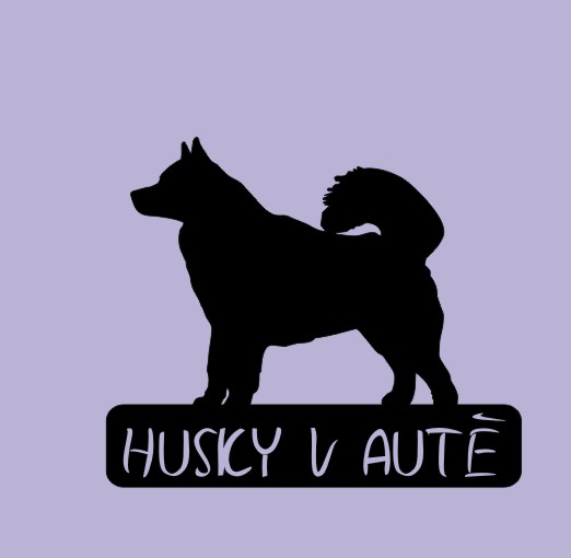 Husky v autě - možno jméno ZDARMA