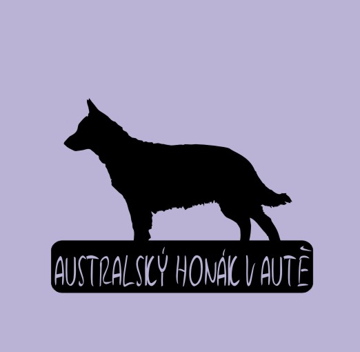 Australský honák v autě - možno jméno ZDARMA