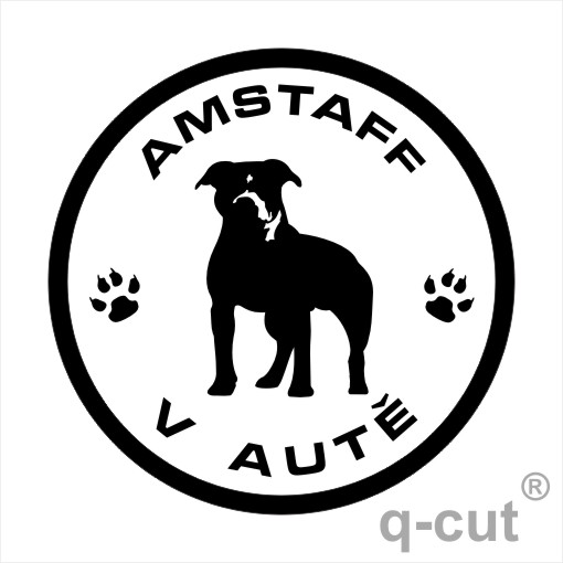 Amstaff v autě