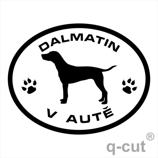 Dalmatin v autě